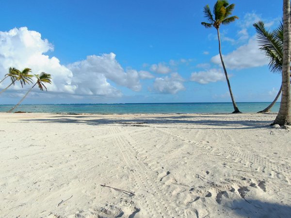 Unlocking Your Dream Holiday: Securing Motorsport-Friendly Rentals in the Isle of Man